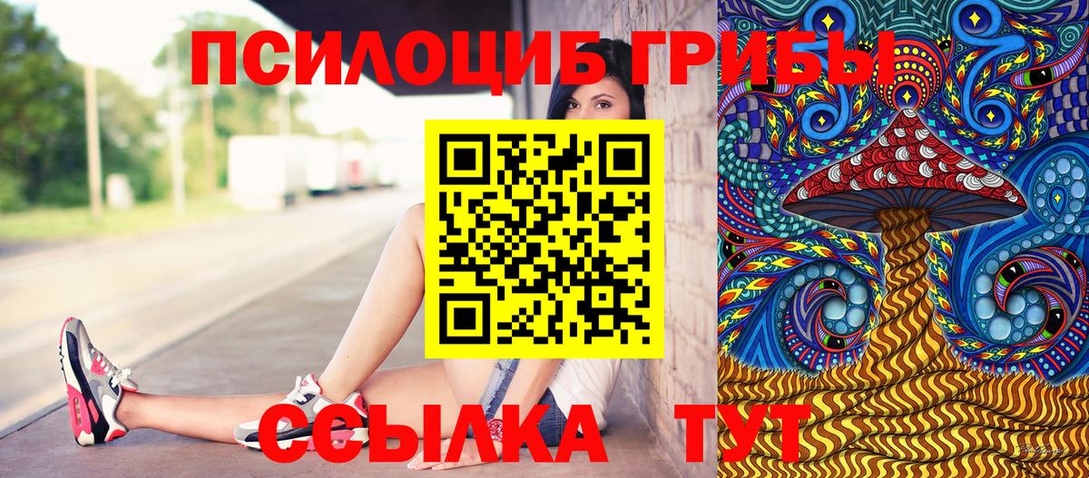 Галлюциногенные грибы Cubensis Воркута